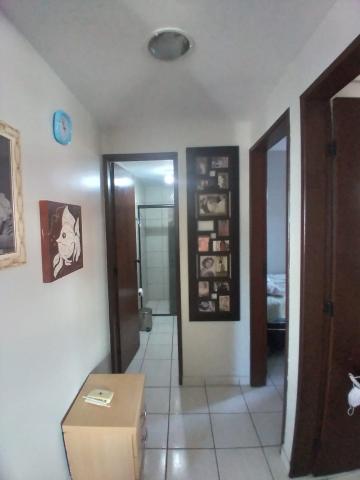imagem 4 - Apartamento - Padrão imagem 4 - Apartamento - Padrão
