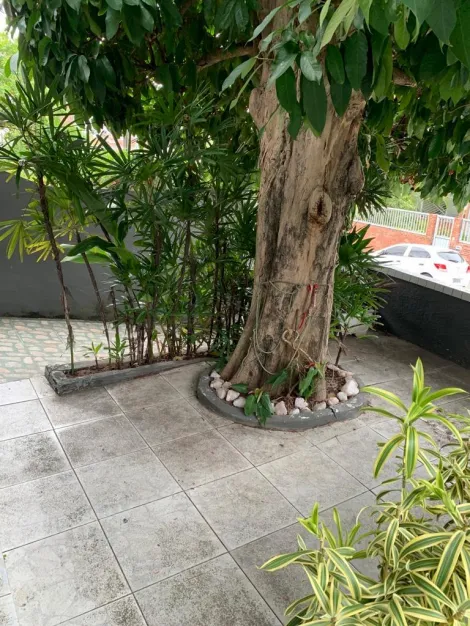 imagem 4 - Casa com 5 Quartos à venda, 216m² - Miramar imagem 4 - Casa com 5 Quartos à venda, 216m² - Miramar