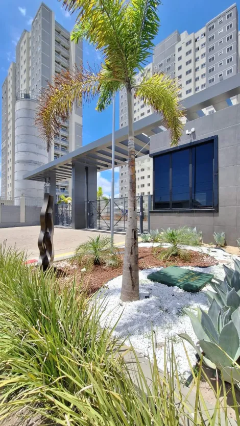 imagem 1 - Apartamento a Venda 2 quartos Ponta de Campina, Próximo ao Fast Verão imagem 1 - Apartamento a Venda 2 quartos Ponta de Campina, Próximo ao Fast Verão